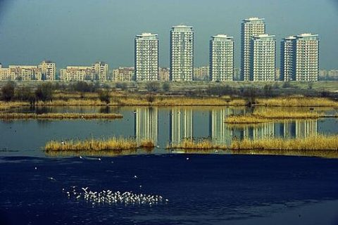 Photo: Eminescus, CC BY-SA 4.0, Wikimedia Commons