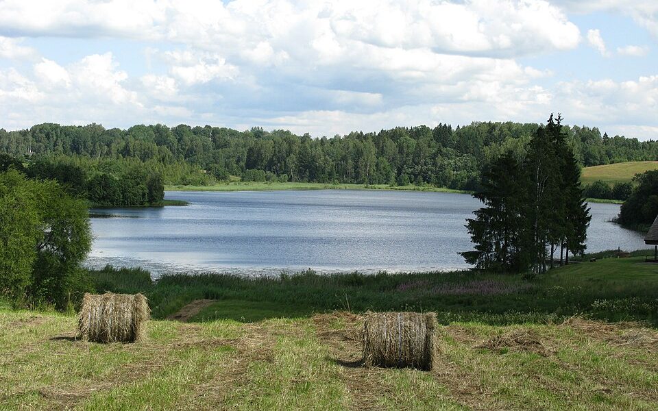 Lake Vidrike