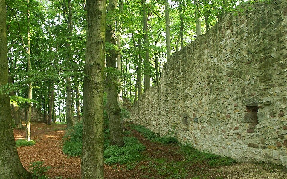 Burg Landeck