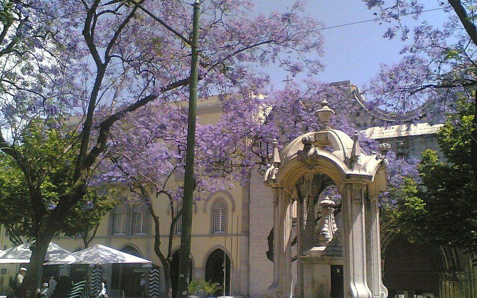 Largo do Carmo