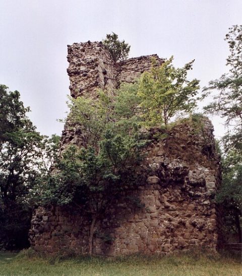 Photo: MacElch (Rainer Kunze), CC BY-SA 3.0, Wikimedia Commons