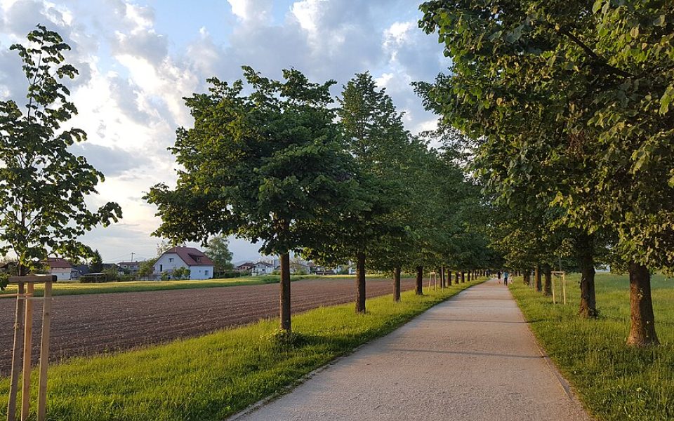 Trail of Remembrance and Comradeship