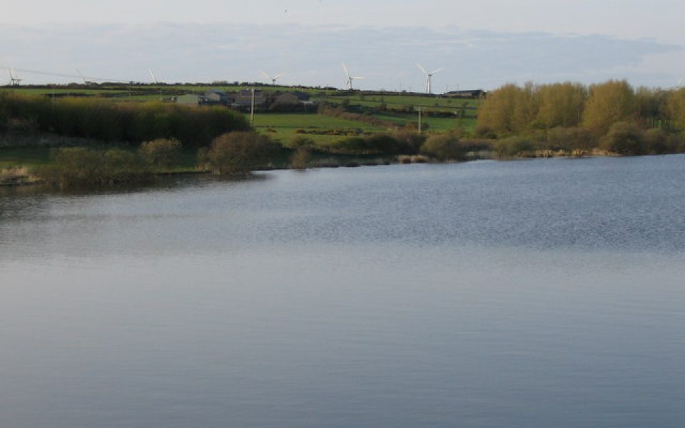 Llyn Alaw