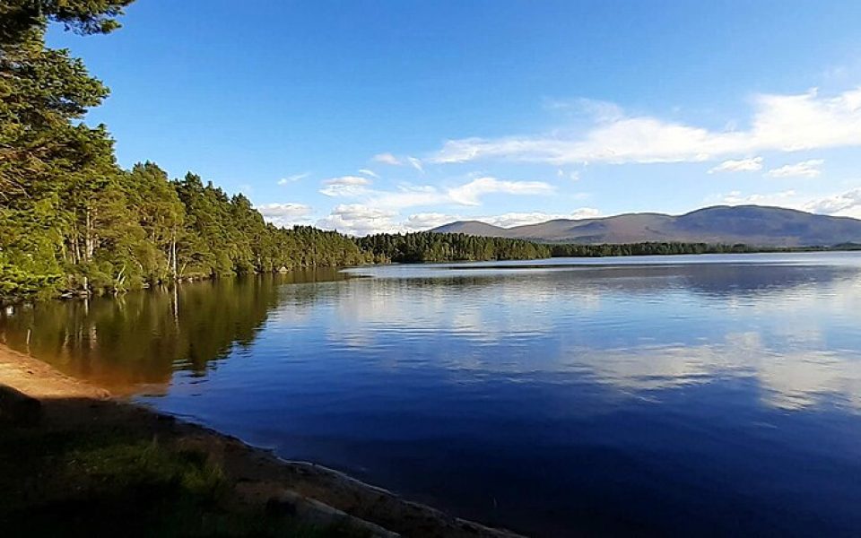 Loch Garten