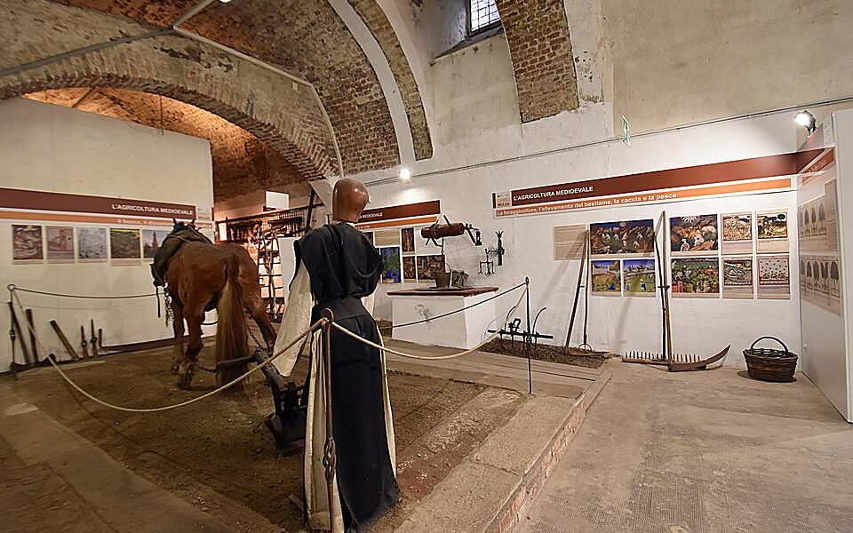 MULSA - Museo di storia dell'agricoltura