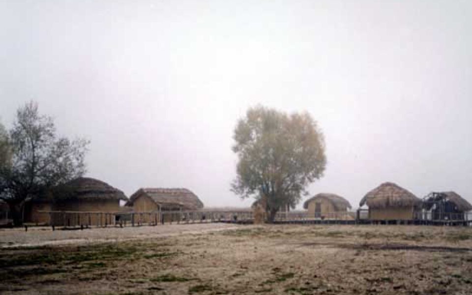 Dispilio Lakeside Neolithic Settlement Archaeological Collection