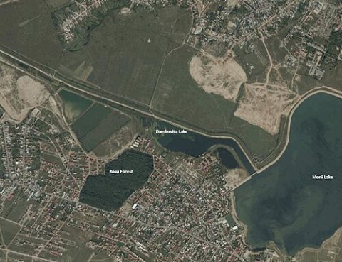 Photo: My own labels on top of public NASA Landsat Satellite Photo, Public domain, Wikimedia Commons
