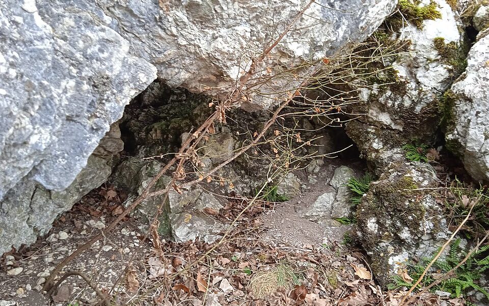 Margitligeti Hole