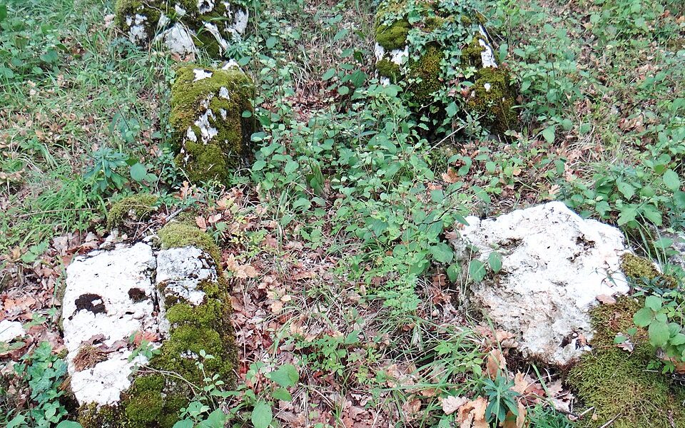 Alignements du Bosc