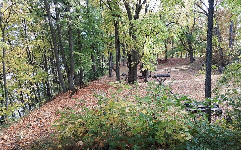 Mežotne hillfort