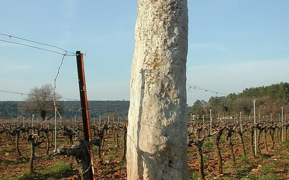Peïro Plantado