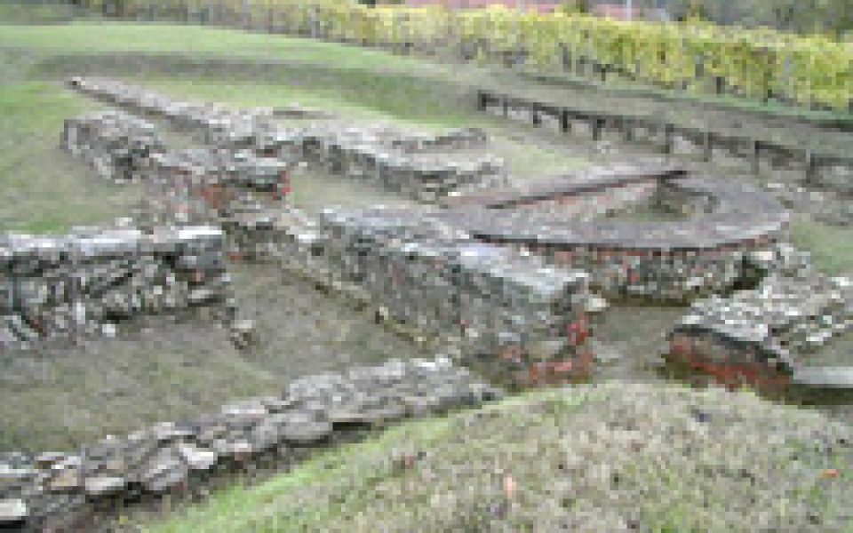 Mevaniola