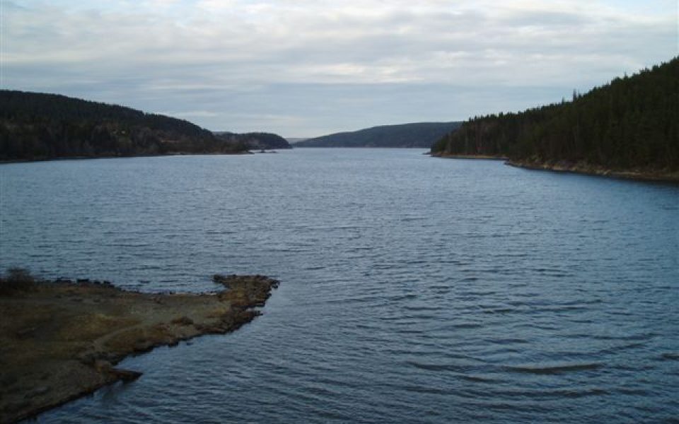 Mingevannet