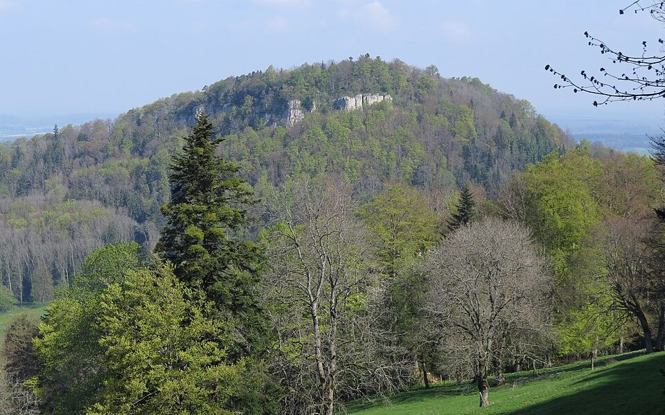 Mont-Terri Castle