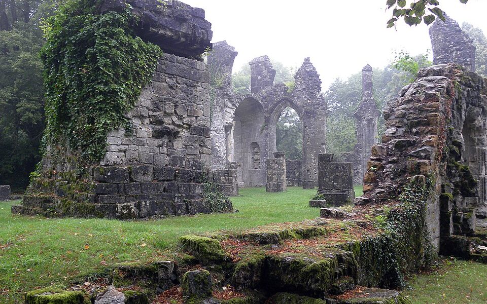 Arboretum du Petit-Bois