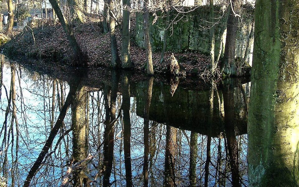 Motte Kippekausen