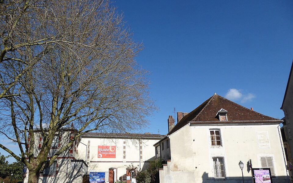Museum of Fine Arts and of Natural History of Châteaudun