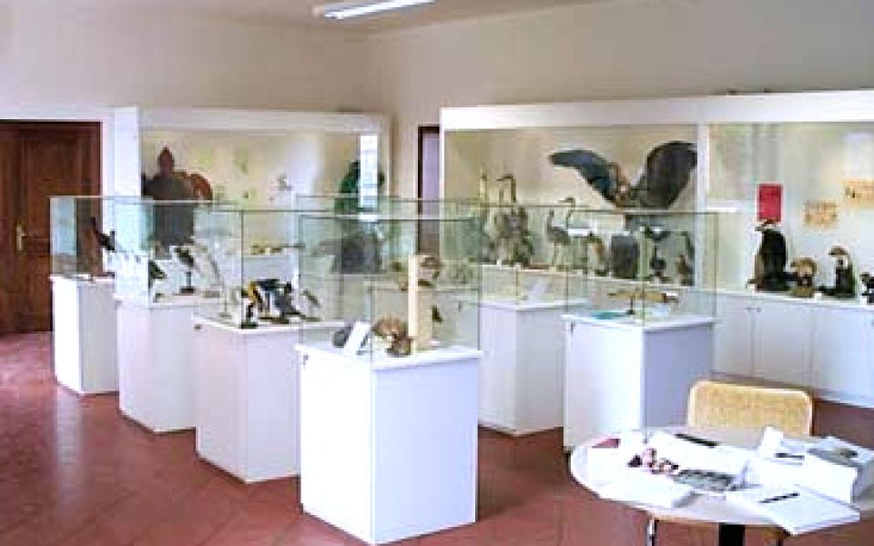 Museo dell'Ecologia