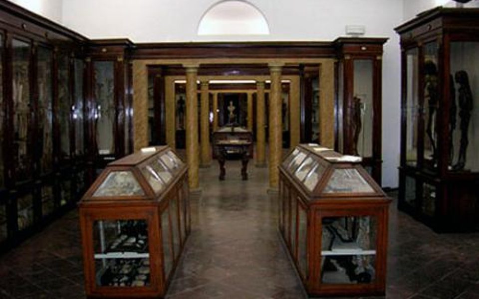 Museo di anatomia di Modena