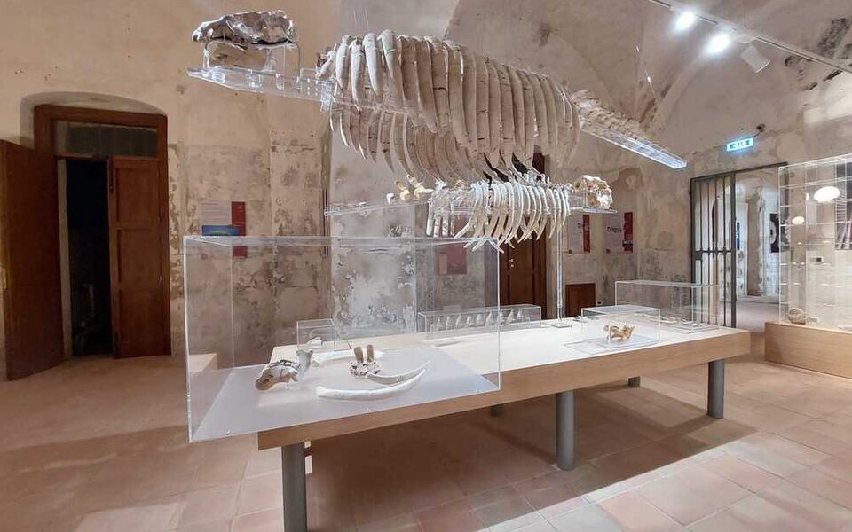 Civic museum of the sea
