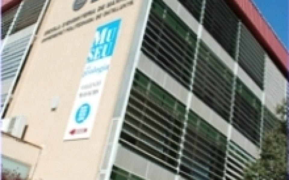Museu de Geologia Valentí Masachs