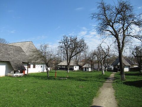 Photo: Superchilum, CC BY-SA 4.0, Wikimedia Commons