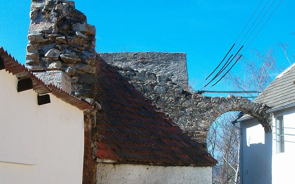 Myšenec