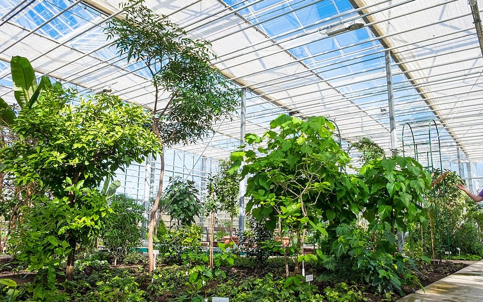 National Botanic Garden of Latvia