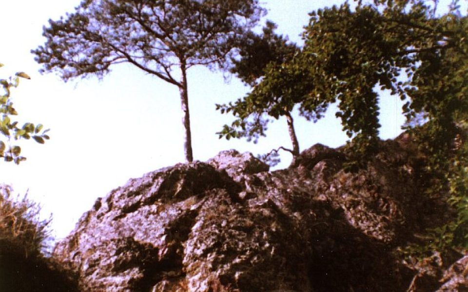 Castle New Blumberg