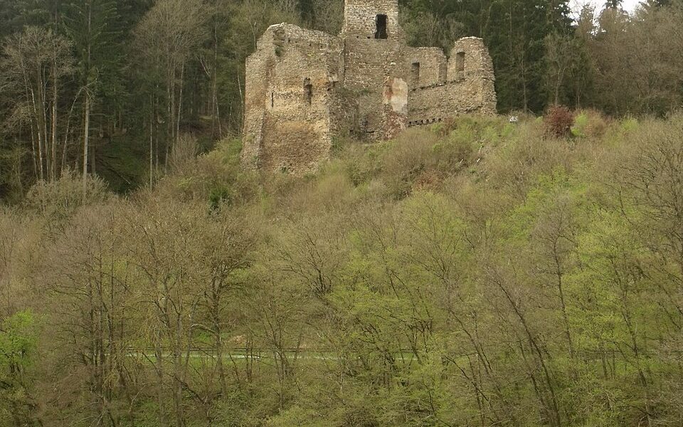 Burg Neublankenheim