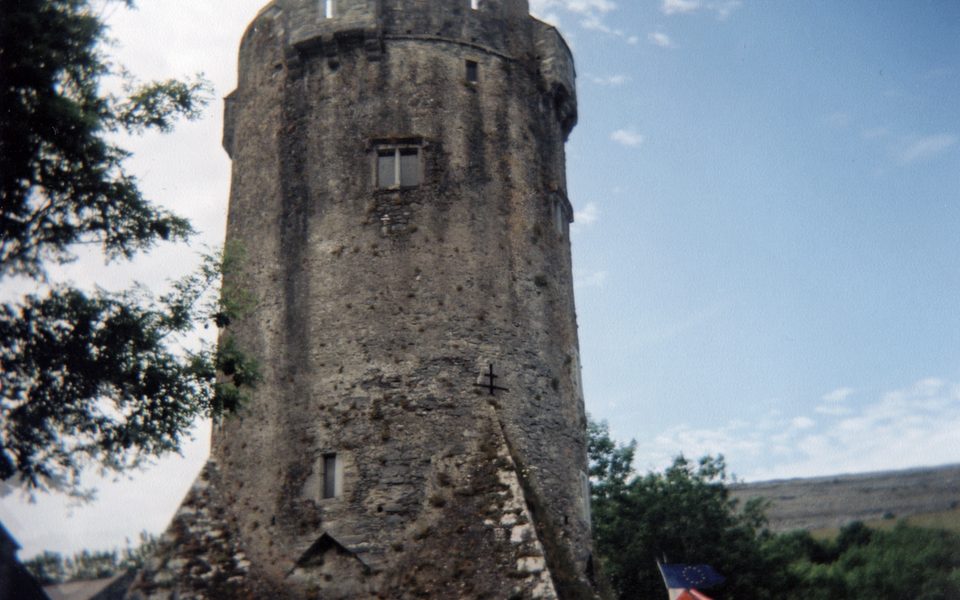 Newtown Castle