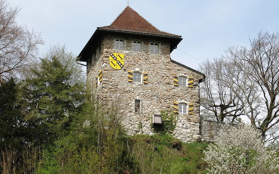Schlössli mit Rebberg
