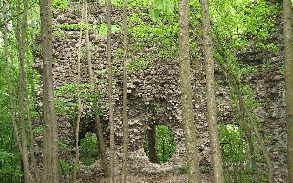 Medieval castle ruins of Niederwindegg