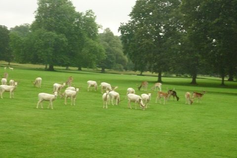 Sandringham House