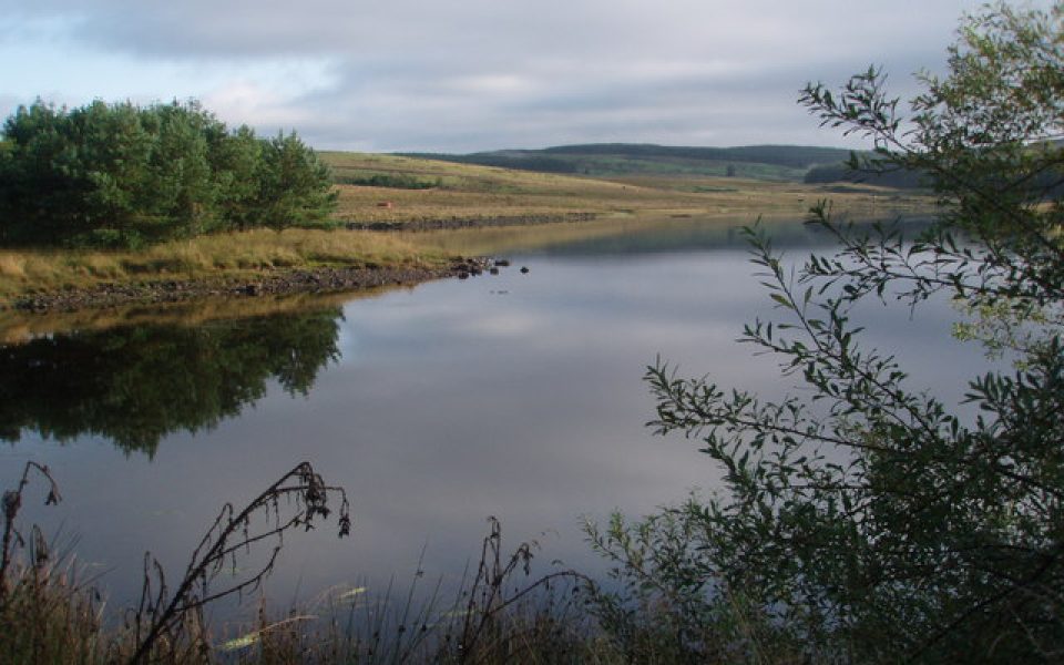 Lochinvar