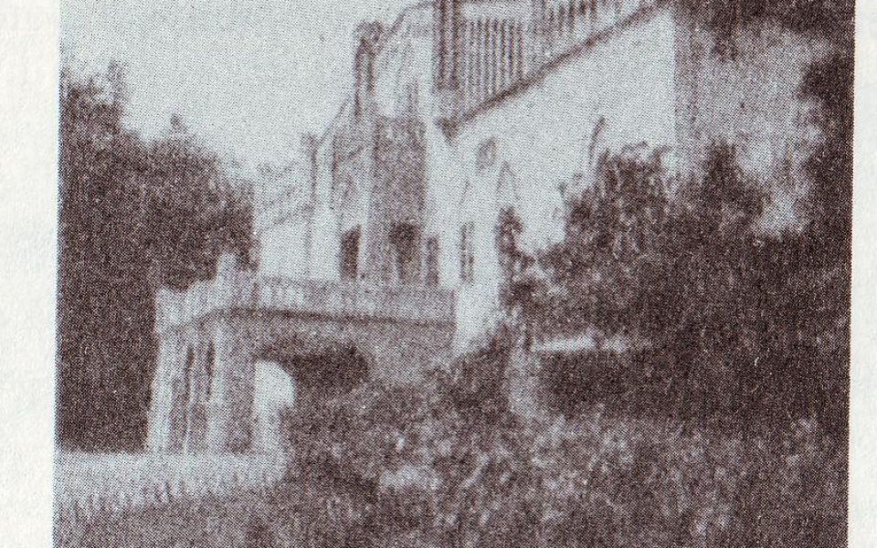 Палац Гіжицького у Новоселиці