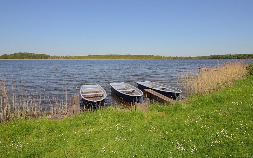 Ruppiner See