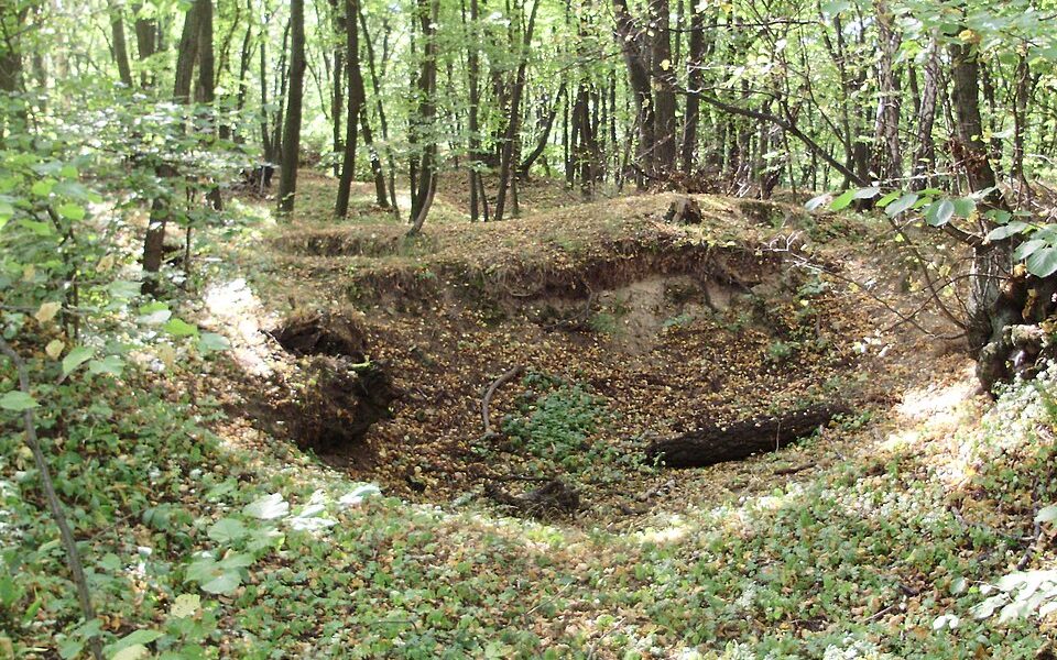 Orlovice