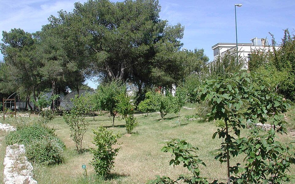 Orto Botanico dell'Università di Lecce