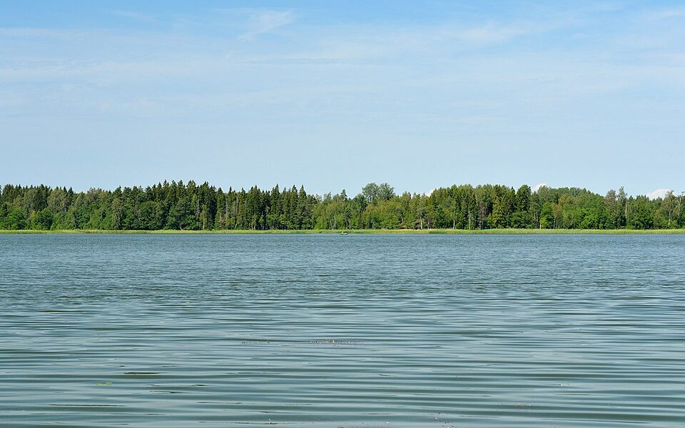 Valgjärv