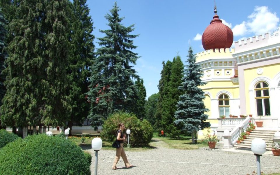 Castelul Bethlen din Arcalia