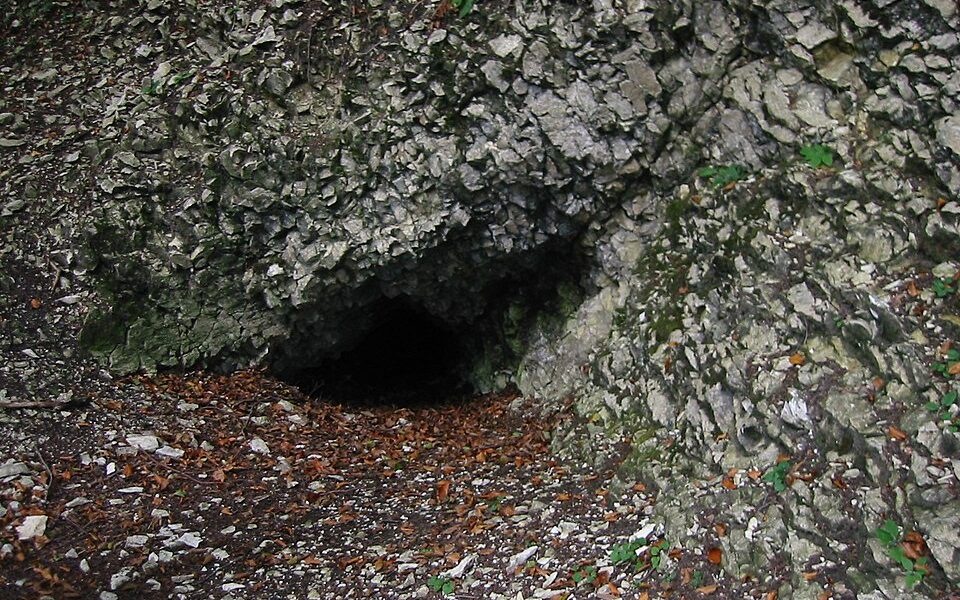 Pfaffenkammer