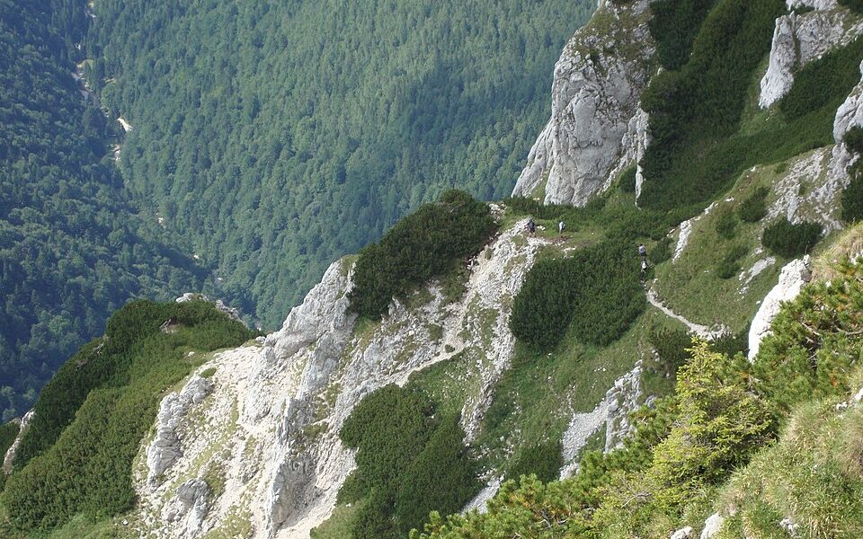 Piatra Craiului National Park