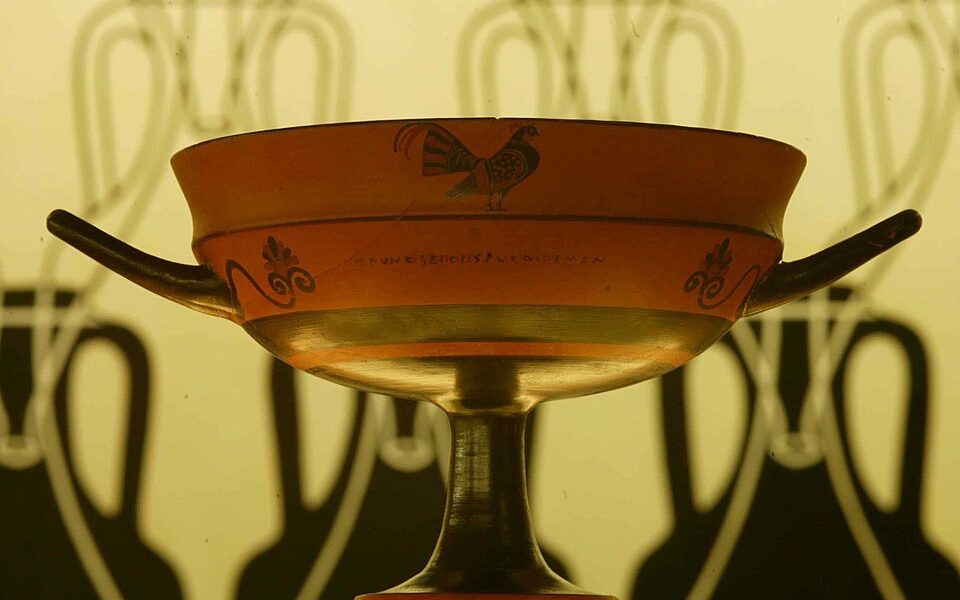 Museo del vino, Torgiano