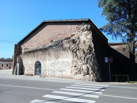 Photo: Pampuco, CC BY-SA 4.0, Wikimedia Commons