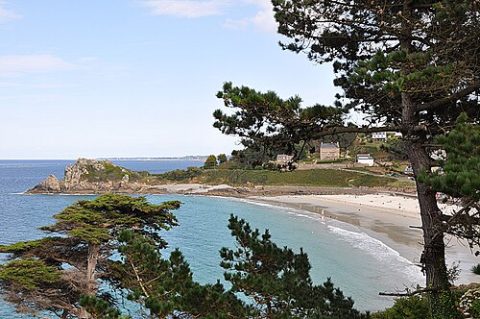 Photo: Palamède, CC BY-SA 4.0, Wikimedia Commons