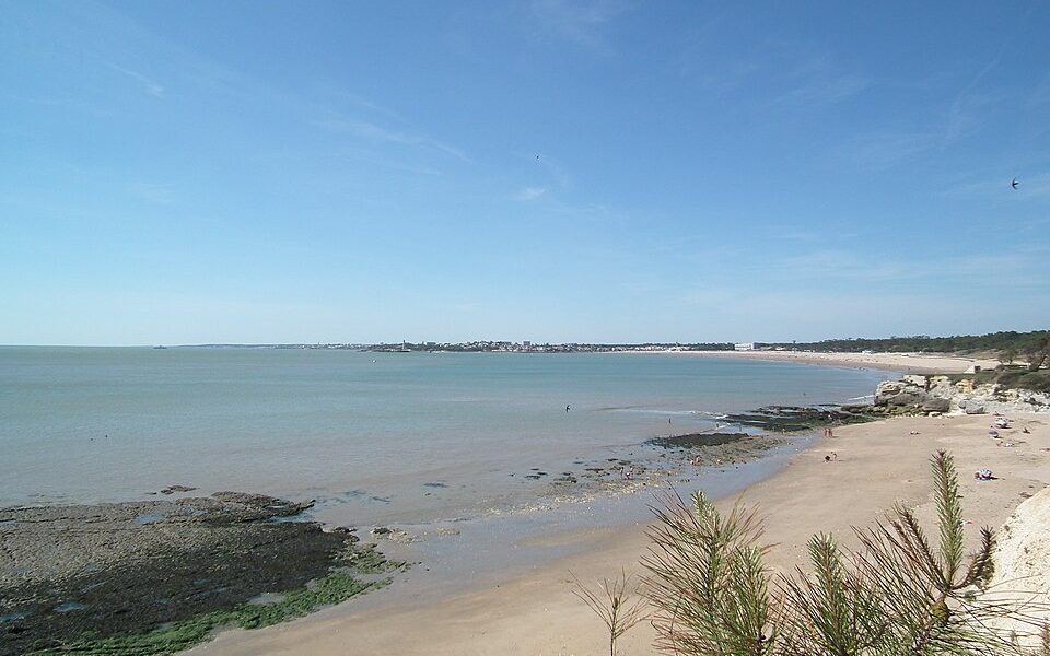 Conche de Saint-Georges