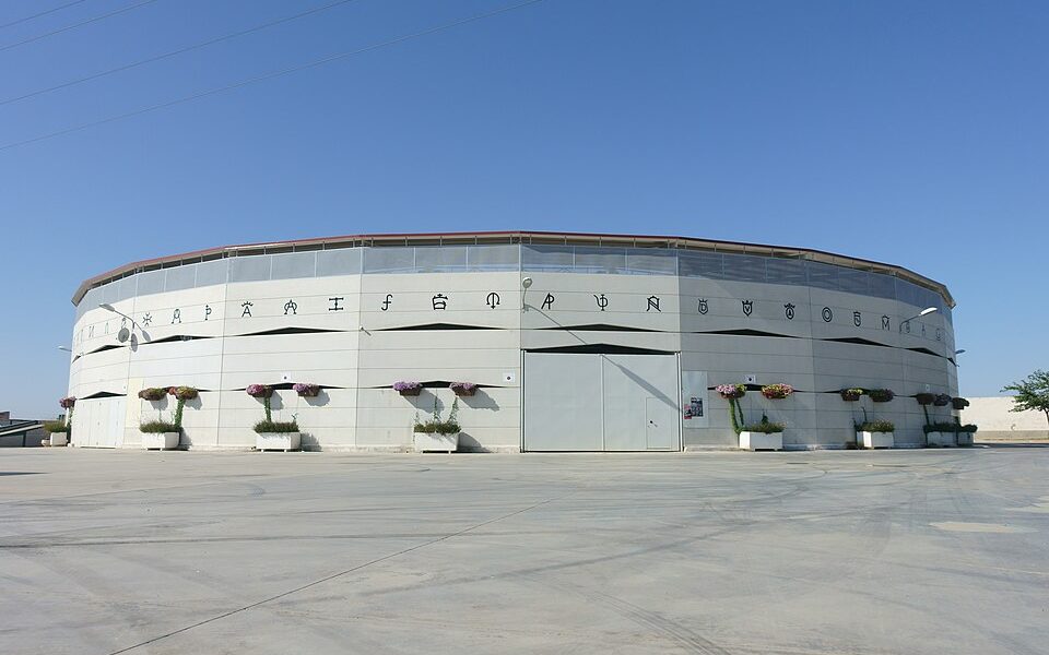 Villaseca de la Sagra bullring