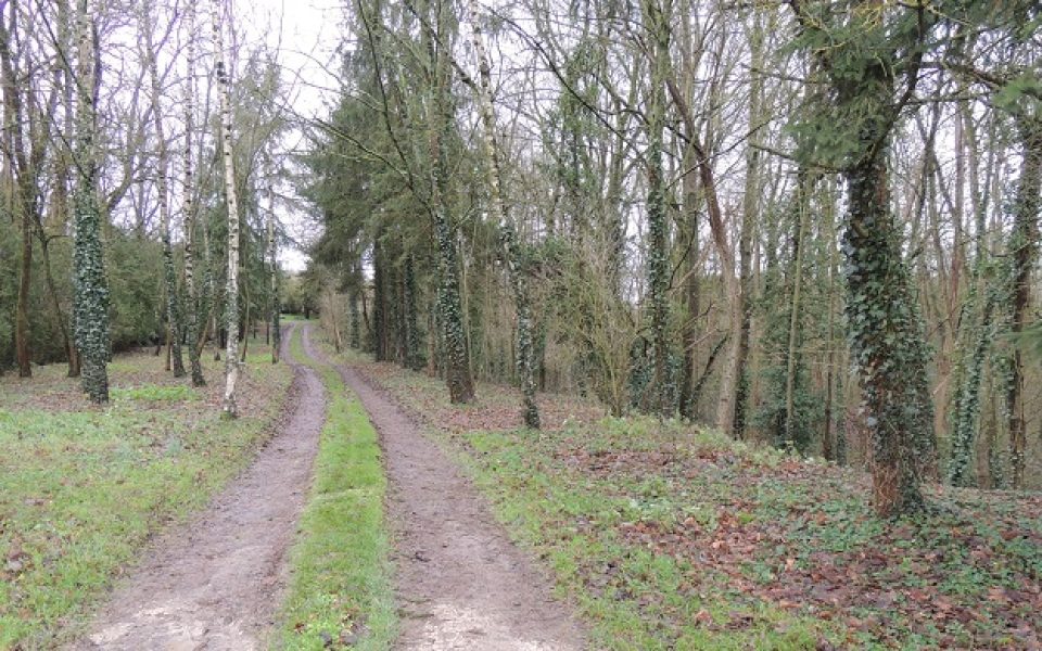 Motte castrale, Prasville