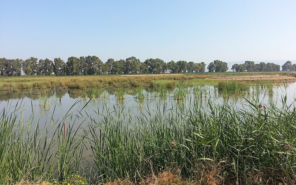Lago Salso